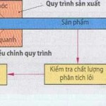 Điều chỉnh chất lượng