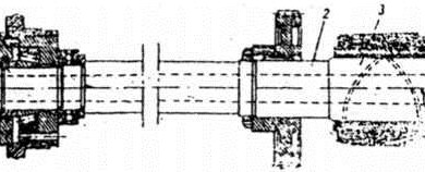 trucchinh1