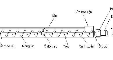 vit-tai-1